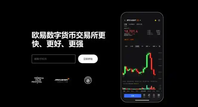 topay钱包平台展示图